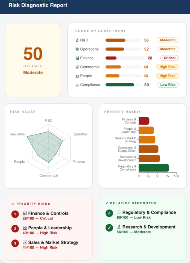QBIView Rapid report — first page, with overall score, score by department, risk radar, priority matrix, priority risks and relative strengths