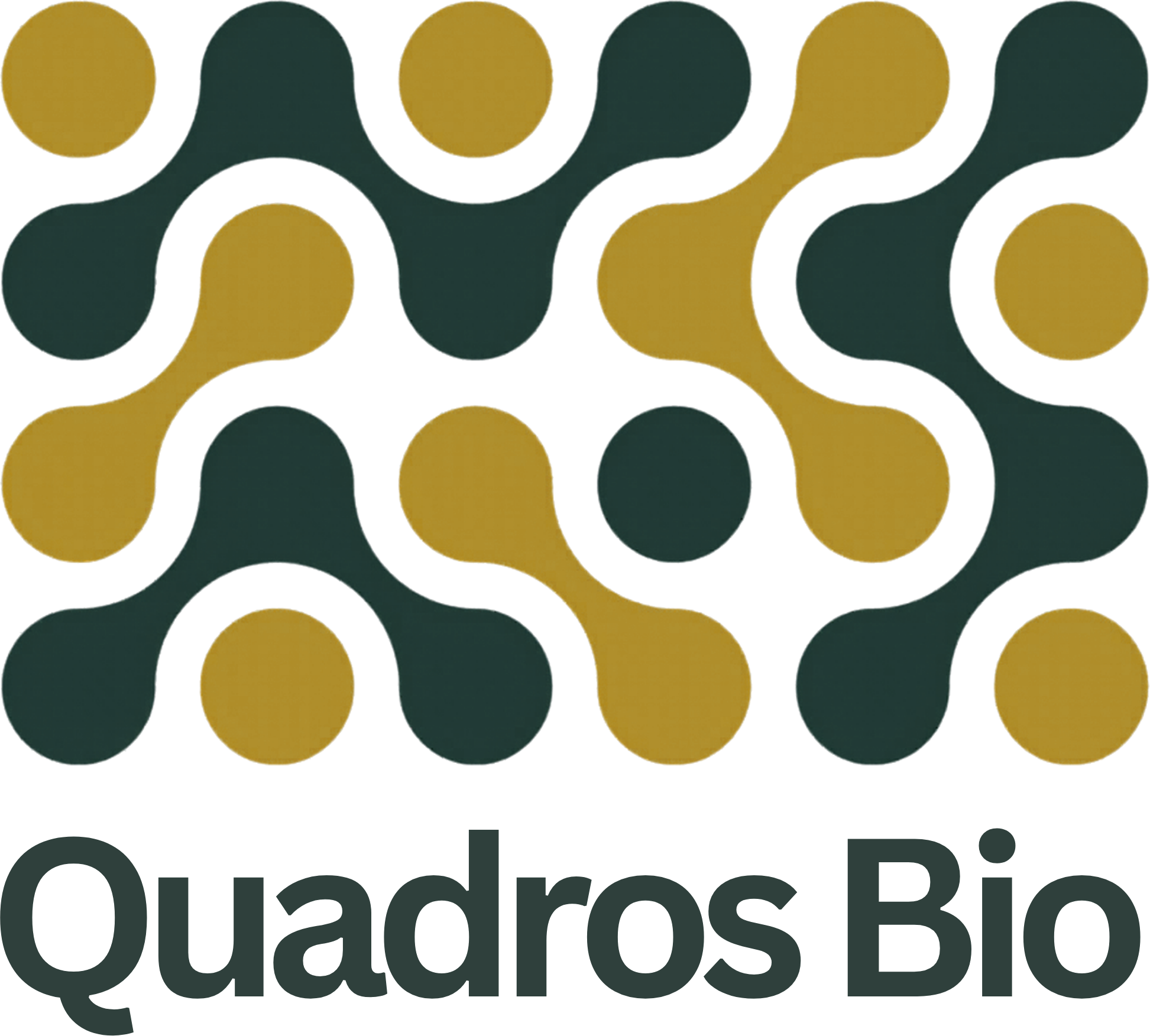 Quadros Bio